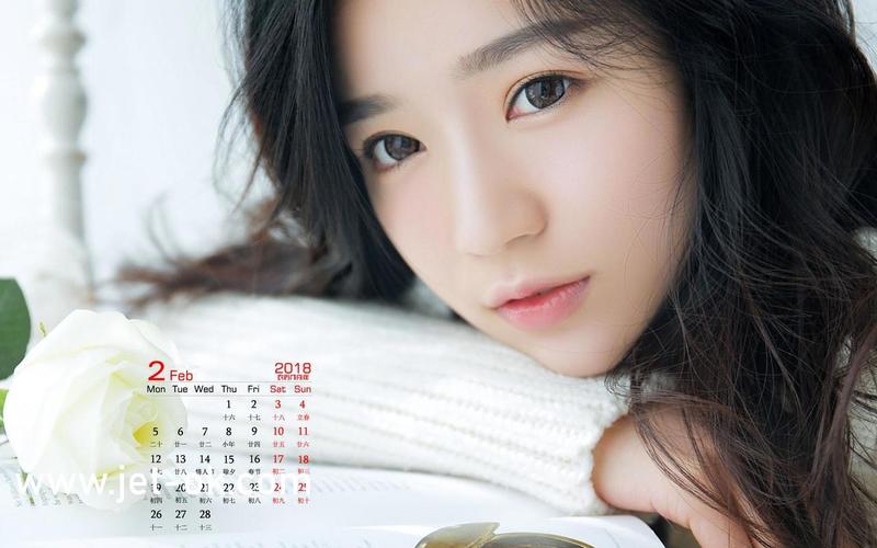 日本家庭教师波多的相关介绍
