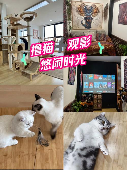 激情久久久精品的相关介绍