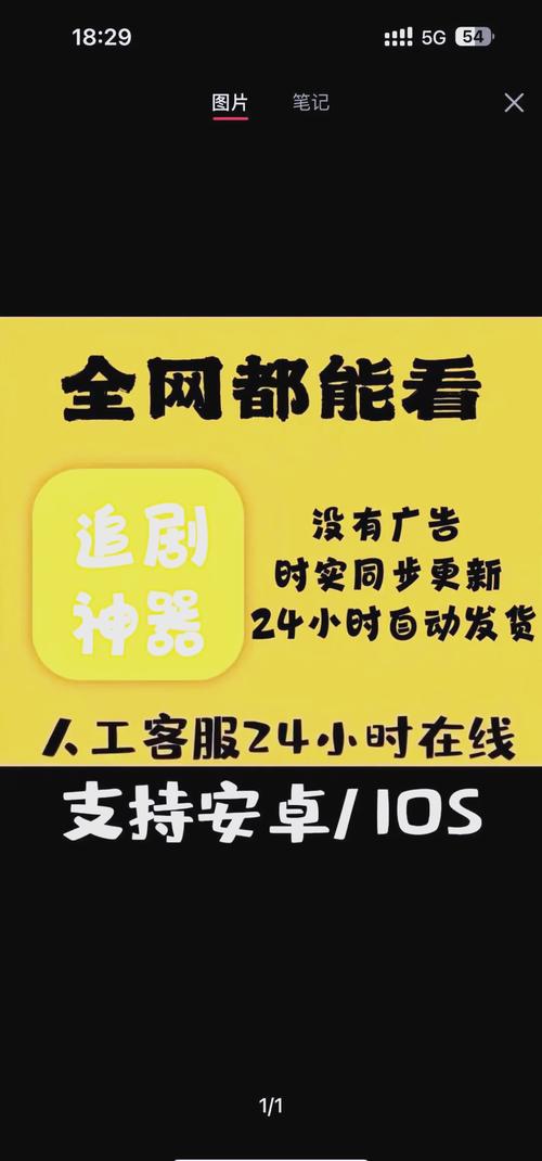 苍苍影院的相关介绍