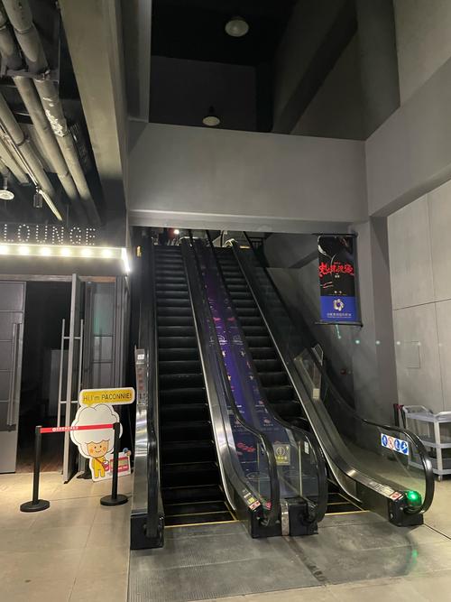 5g在线视讯18禁的相关介绍