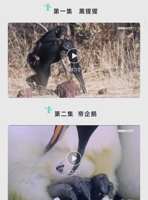 女性下身分泌物是黄色的的相关介绍