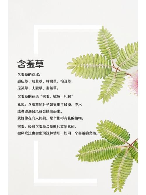 女性尿道分泌黄色粘稠物的相关介绍