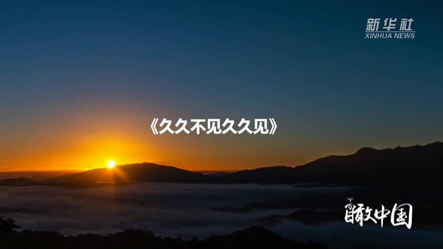 神马影院手机在线线的相关介绍