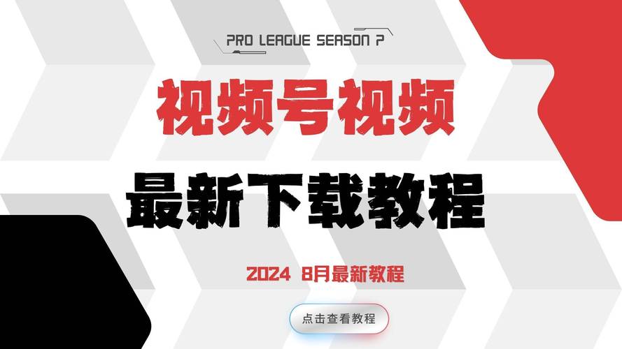 国产美女干逼网站的相关介绍