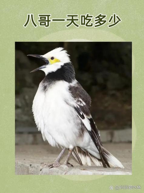 949影院神马的相关介绍