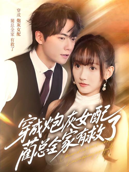 4d私人影院的相关介绍