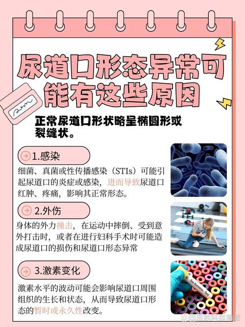 动漫男女互操的相关介绍