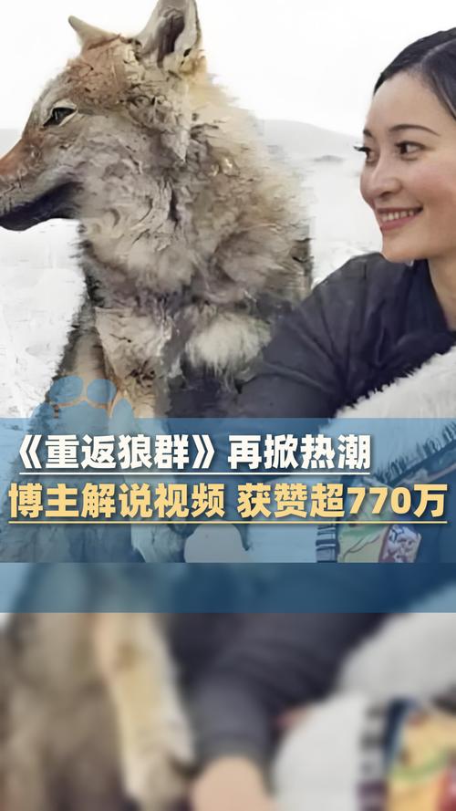 黑狐影院的相关介绍