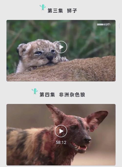 欧美怡红院一区二区三区的相关介绍