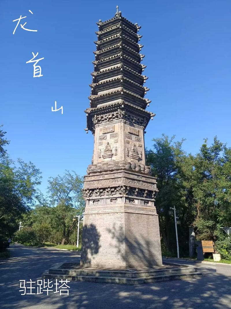 女人操出白浆的相关介绍