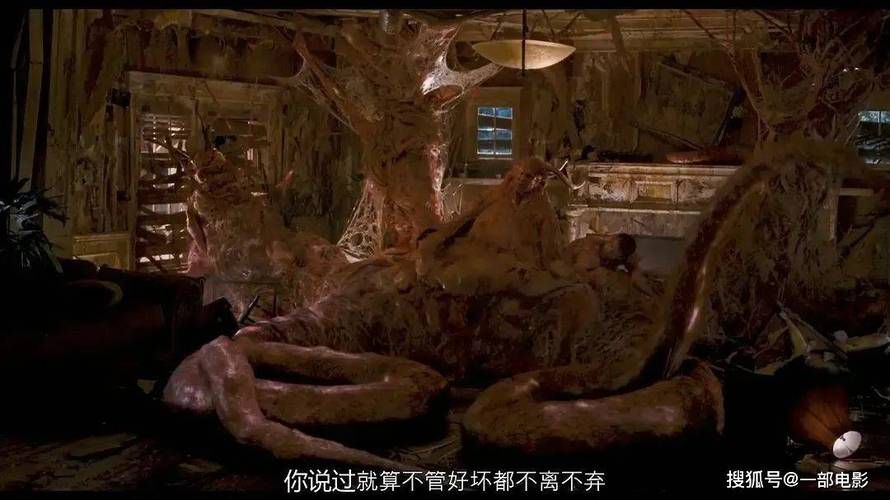 邻居的人妻小说的相关介绍