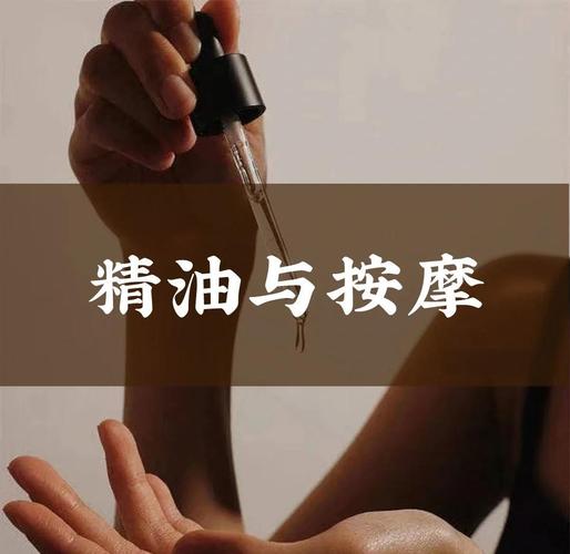 绝色影院的相关介绍