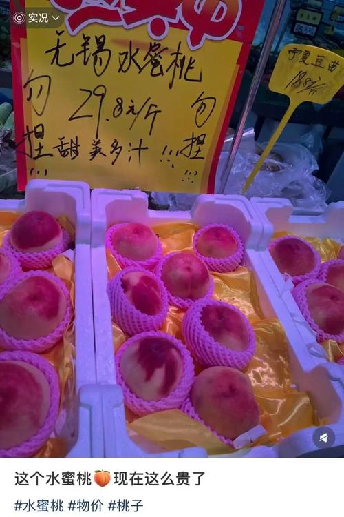 免费手机影院的相关介绍