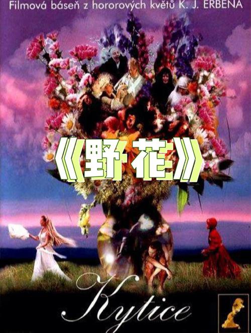 女性内裤上有黄色分泌物正常吗的相关介绍