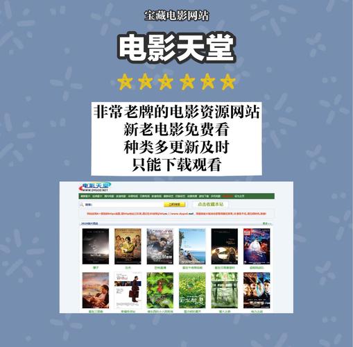 99久久精品国产国产毛片的相关介绍