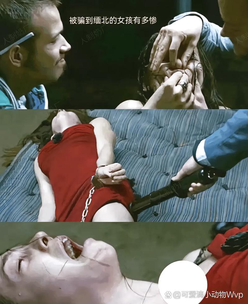 看女18毛片的相关介绍