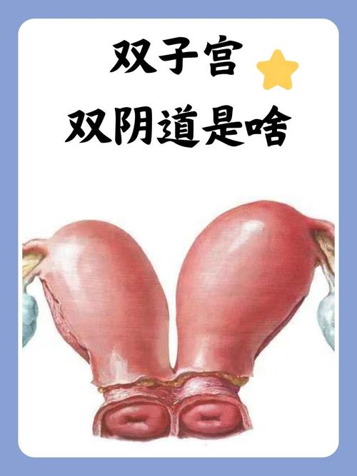 懂色av久久的相关介绍