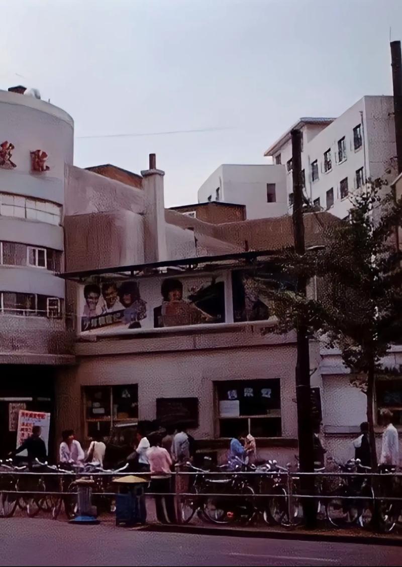 意大利伦理片大全的相关介绍