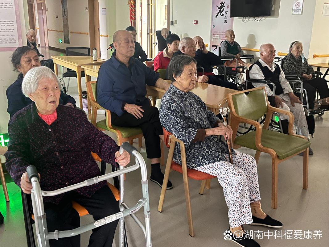 神马影院午夜不卡片的相关介绍