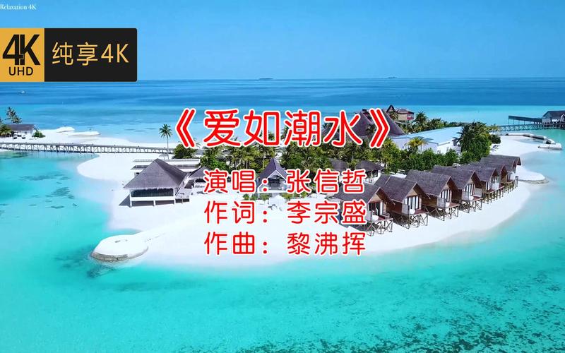 麻豆白洁少妇在线av的相关介绍