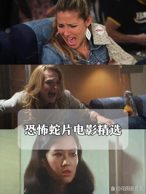 免费视频免费下载app的相关介绍