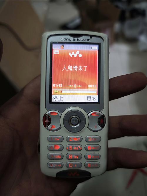 老湿影院不要钱直接看的相关介绍