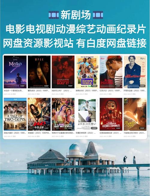 撸撸影院的相关介绍