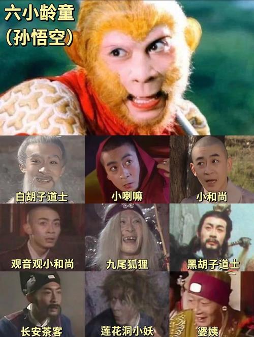 精子窝影院的相关介绍