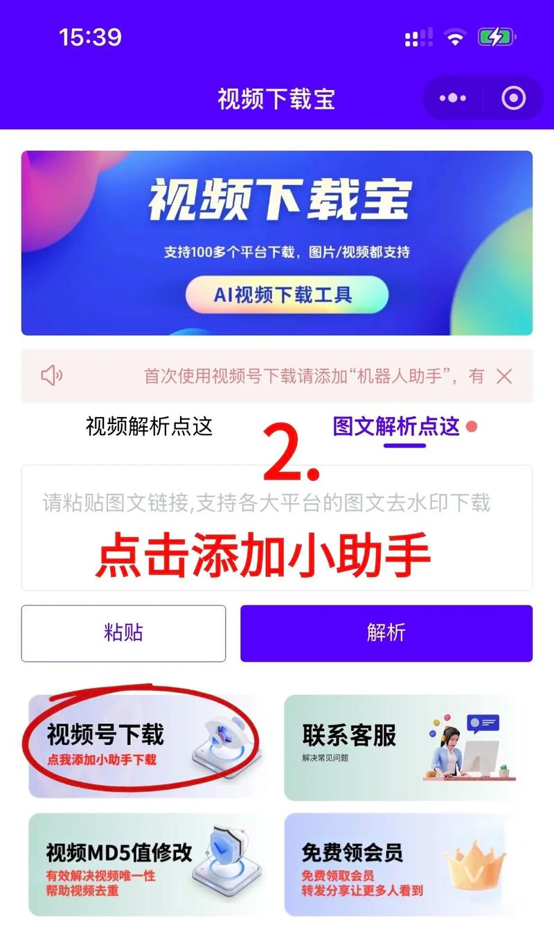 看毛片在线观看的相关介绍