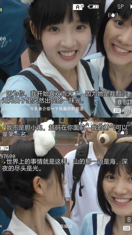 老女人的黄色录像的相关介绍