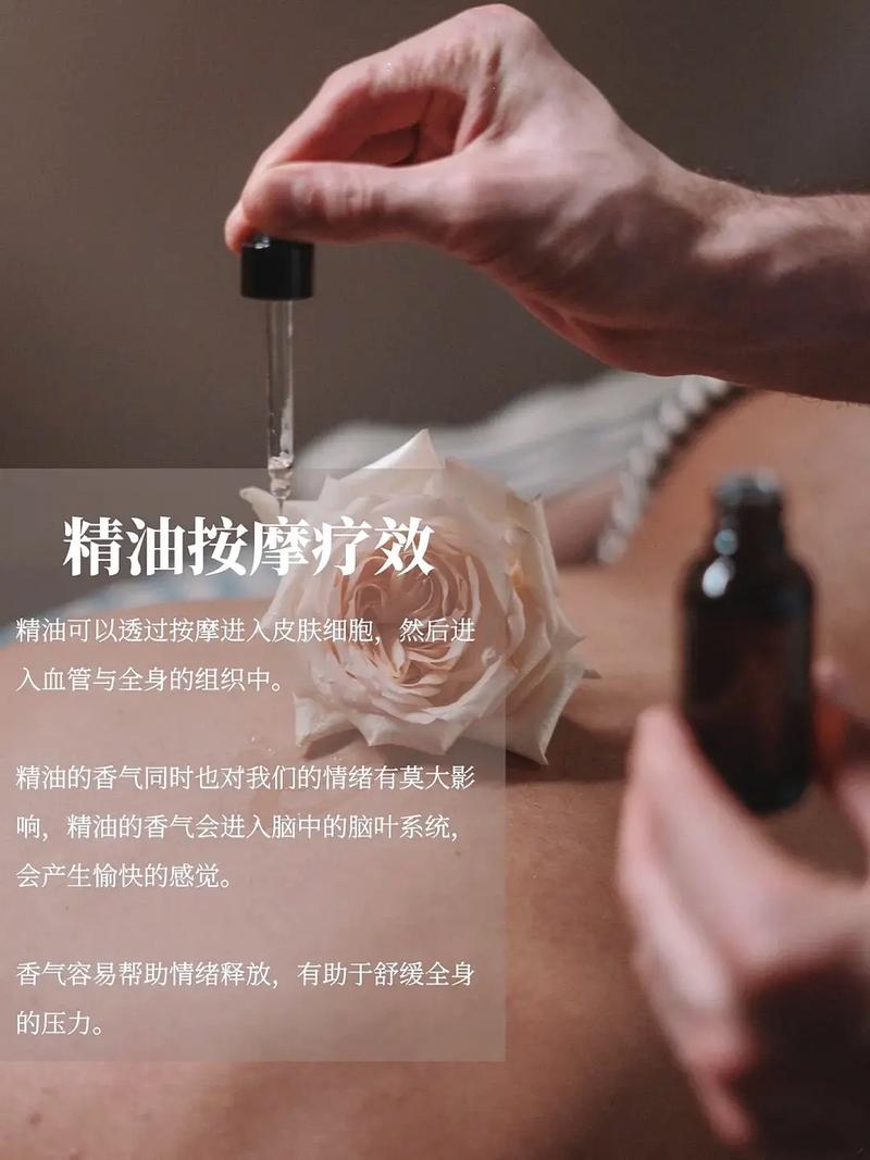 啪啪啪人妻免费视频的相关介绍
