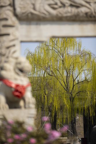 五十多岁女人分泌物发黄咋回事的相关介绍