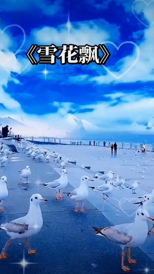 电影影院的相关介绍