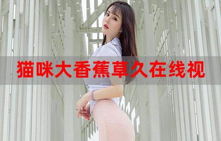 欧美伦理片按摩的相关介绍