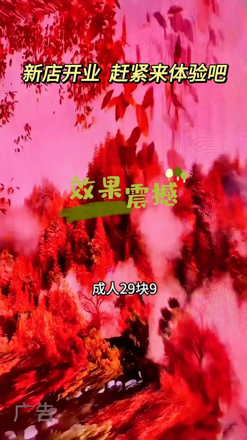 张柏芝大尺度照的相关介绍