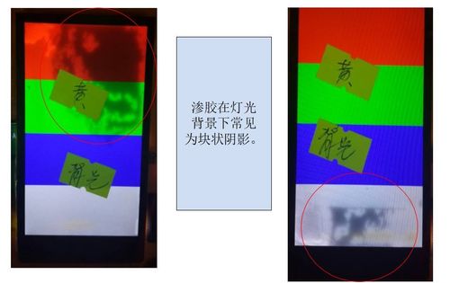 在线成人 欧美的相关介绍