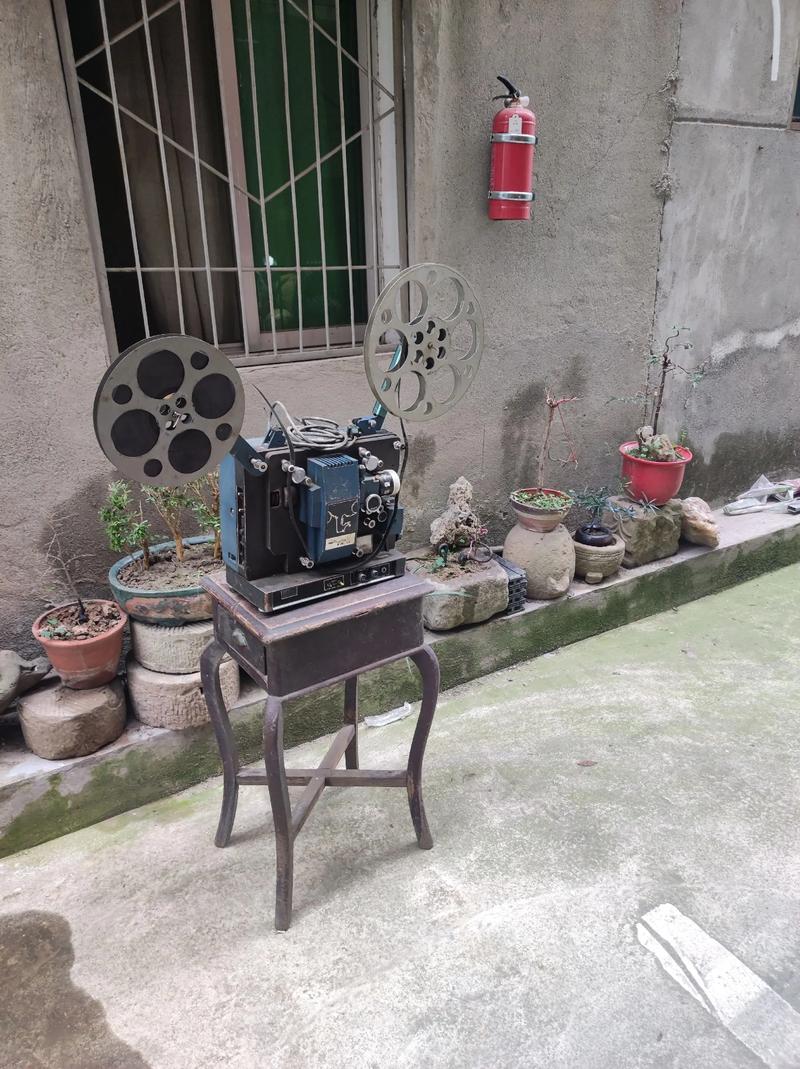 久久久精品123的相关介绍