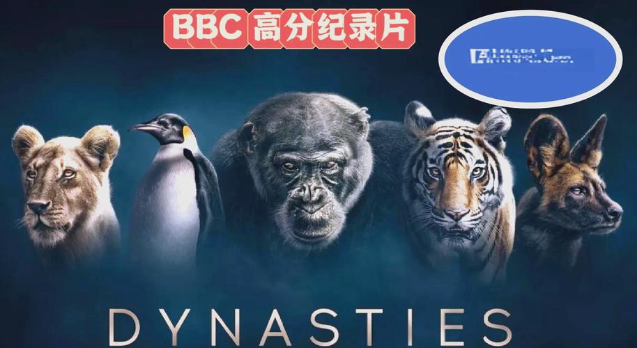 久久色男人天堂的相关介绍