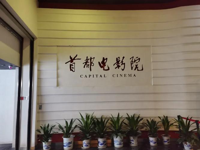 神马电影院老子的相关介绍