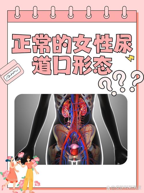 看吧影院的相关介绍