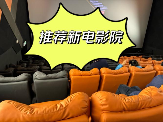 齐乐影院的相关介绍