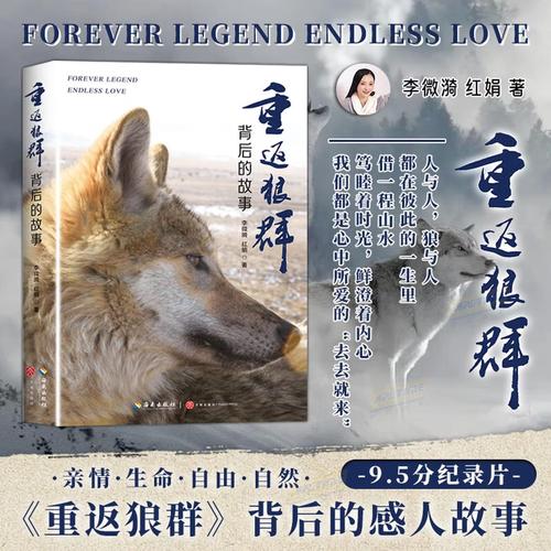 欧美熟女人妻在线的相关介绍