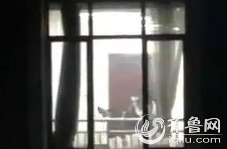 推女郎大尺度图片的相关介绍