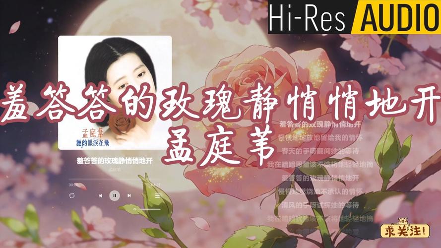 黑丝少妇av在线播放的相关介绍